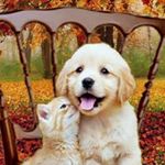 Profile Picture of Autumn Bell (@autumn.bell99) on Instagram