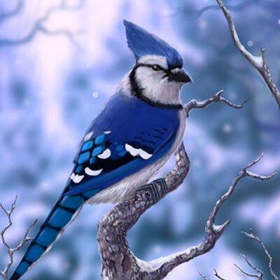 Profile Picture of Alice Doe (@blood_alice) on Twitter