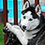 Profile Picture of Kirbinster (@kirbinster) on Flickr