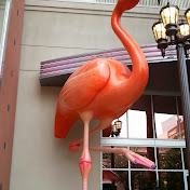 Profile Picture of Dawn Kubicki (@dawnkubicki) on Youtube