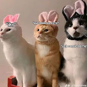 Profile Picture of Angelica Verdugo (@angelicaverdugo8376) on Youtube