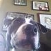 Profile Picture of Jeff Seiber (@Jeff-Seiber) on Facebook