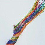 Profile Picture of alex barri (@alex_yera) on Instagram