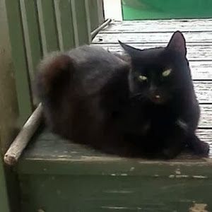 Profile Picture of Michael Rider (@michaelrider785) on Tiktok