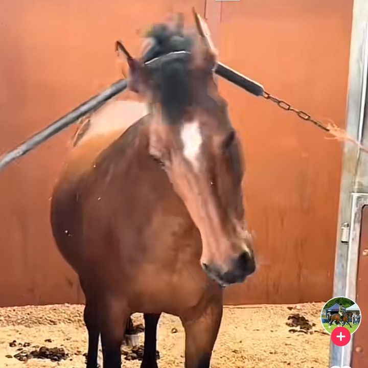 Profile Picture of Michael Mccooey (@michaelmccooey) on Tiktok