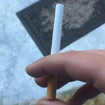 Profile Picture of Lea Vespucci (@rosariannadimiceli) on Instagram