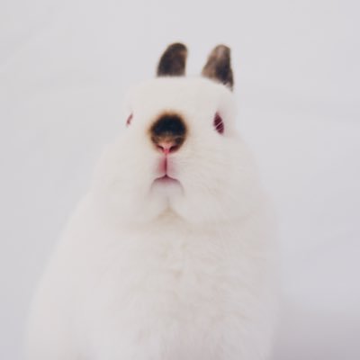 Profile Picture of Lil_BowZ (@SUEN_SZE_CHUNG) on Twitter