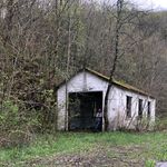 Profile Picture of Luke Shubert (@lukeshubert) on Instagram