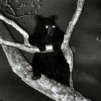 Profile Picture of Patrick Chitwood (@patrick-chitwood) on Quora