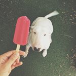 Profile Picture of Bill Bailey (@bill__bailey) on Instagram