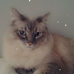 Profile Picture of Monet and Bebon Clark (@daily_monet_bebon) on Instagram