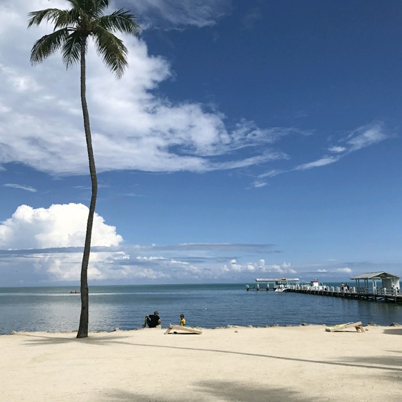 Profile Picture of Susan Bilbrey (@sebilbrey) on Poshmark