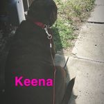 Profile Picture of Summer Albert (@keena.and.me) on Instagram