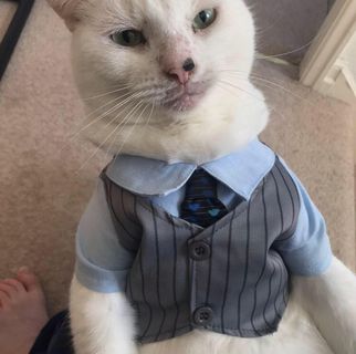 Toby Brazier - Facebook Profile Picture of Toby Brazier (@toby.brazier.16) on Facebook