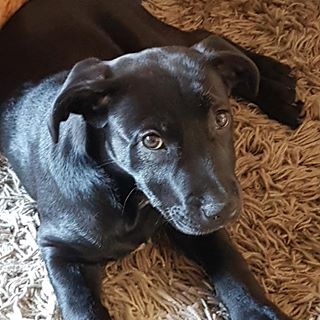 Profile Picture of Cher Thompson (@cher.thompson.127) on Facebook