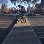 Profile Picture of _georgeshields (@_georgeshields) on Instagram