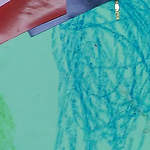 Profile Picture of Katarzyna  Kulikowska (@kulik214) on Flickr