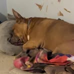 Profile Picture of Dakota Wolcott (@dakota.wolcott.1) on Facebook