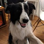 Kristina Walters - Instagram Profile Picture of Kristina Walters (@kristina_panchito) on Instagram