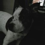 Dan.Geller - Instagram Profile Picture of Dan.Geller (@danmichaelgeller) on Instagram