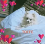 Profile Picture of Bop Jeff (@bop.jeff.2024) on Facebook