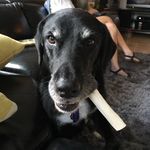 Profile Picture of Brian Larkowski (@brianlark_co) on Instagram