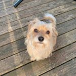 Profile Picture of Kate Greer (@katethegreat1304) on Instagram