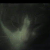 Profile Picture of James Meagher (@jamesmeagher9126) on Youtube