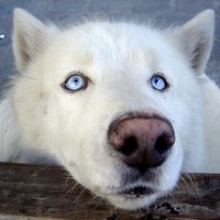 Profile Picture of Gabrielle Robbins (@gabrielle-robbins) on Quora