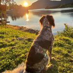 Profile Picture of Jimmy Schmidt (@j.i.m.m.y.2.2) on Instagram