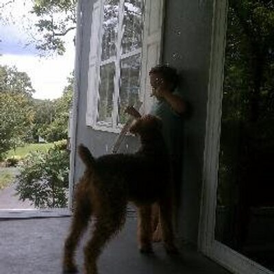 Profile Picture of Dustin Mason (@dustinmason) on Twitter