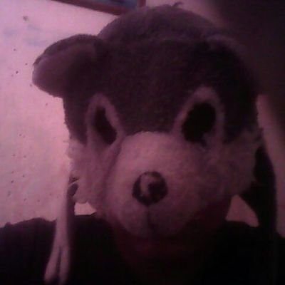 Profile Picture of Erik Ismael Banda Rivera (@ErikIsmaelBand2) on Twitter