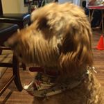 Profile Picture of John Craing (@john_craing) on Instagram