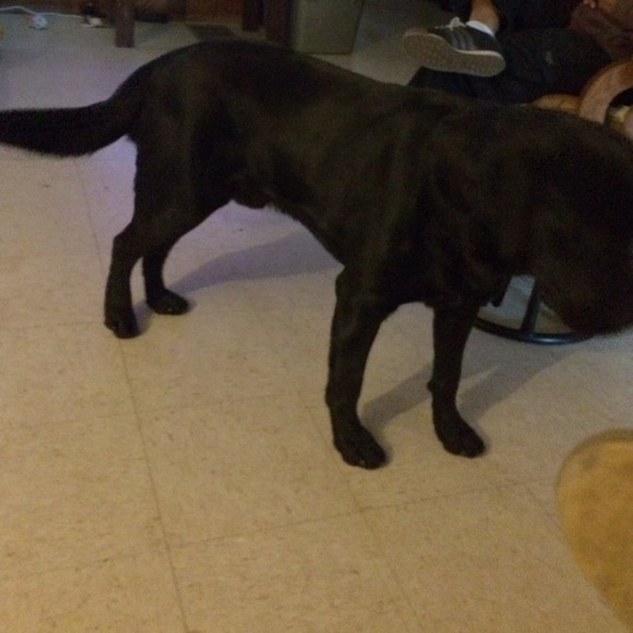 Profile Picture of Alex Pettit (@alexpettit) on Poshmark