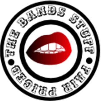 Profile Picture of Paul Donegan (@thebandsstuff) on Twitter