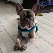 Profile Picture of Alberto Miguel (@Dadardr) on Youtube