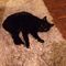 Profile Picture of Alison Hebblewhite (@alison.hebblewhite.3) on Facebook