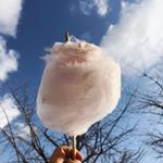 Profile Picture of Thomas Choi (@pooh_views) on Instagram