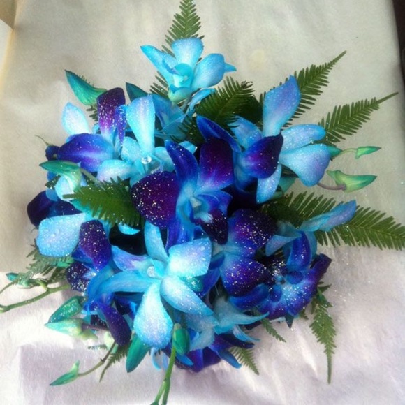 Profile Picture of Amy Oftring (@amyoftring) on Poshmark