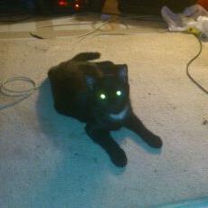 Profile Picture of Al Akers (@al_akers) on Twitter