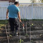 Profile Picture of Blane Alan Nicholas Falsetta (@falsettas_garden) on Instagram