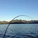 Profile Picture of Barry Rahn (@rahnbarry) on Instagram