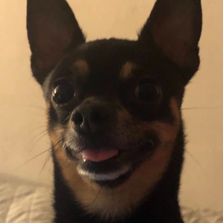 Profile Picture of barry (@barrytherizzler) on Tiktok