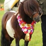 Profile Picture of Lucy Pope (@LucyPop57902118) on Twitter