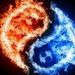 Profile Picture of Travis Chen (@travischennyche) on Pinterest