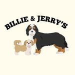 Profile Picture of billie + jerry | hamilton pups (@billieandjerrys) on Instagram