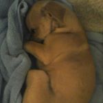 Profile Picture of Ivy stein (@bad_girl891) on Instagram