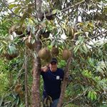 Profile Picture of andre habibi (@andre_habibi24) on Instagram