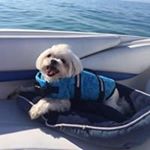 Profile Picture of Kathy Stevenson (@bistto3710) on Instagram