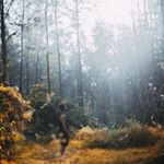 Profile Picture of Jerry Mcfarland (@jerrymcfarland958) on Instagram